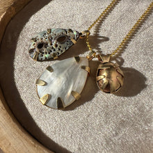 Load image into Gallery viewer, Touchstone Pendant Necklace: 18k gold plated chain with mother of pearl, shell, and bronze rattle pendants
